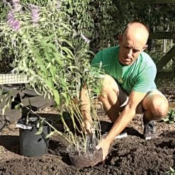 Vole King 1-Gallon Plant Baskets, Pack Of 4 -Garden Outdoor vk1g 2