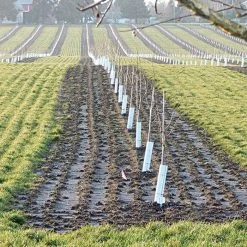 Corrugated Plastic Tree Guards, Bundle Of 25 -Garden Outdoor vp cptg 10