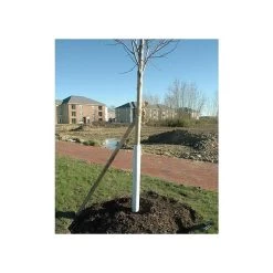 Corrugated Plastic Tree Guards, Bundle Of 25 -Garden Outdoor vp cptg 7