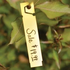 Slant And Lock Label, Roll Of 1000 -Garden Outdoor vp hhc 5