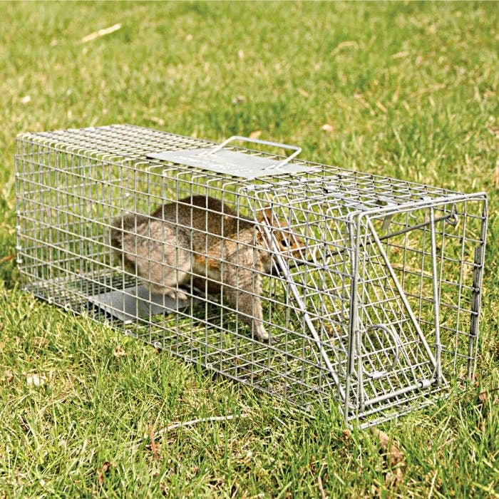 Live Animal Traps 7 Live Animal Traps - Image 7