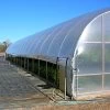 Overwinter Plus Poly Film, 4 Mil, Clear, 40' X 110'