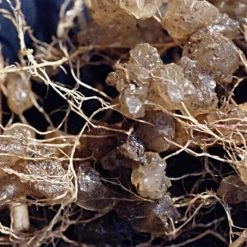 Soil Moist Plus 7 7 7 Granular -Garden Outdoor vp smgxx 1