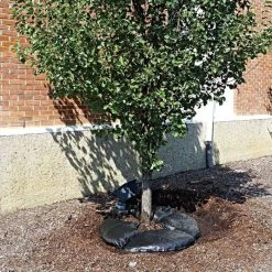 TreeDiaper Landscaper Pro Packs 7 TreeDiaper Landscaper Pro Packs -Garden Outdoor vp tdxxmp 3