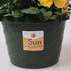 Sunlight Requirement Adhesive Labels 4 In X 2 In 12 Sunlight Requirement Adhesive Labels 4 In X 2 In -Garden Outdoor vp ul20xx 5