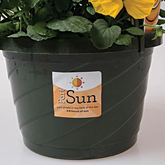 Sunlight Requirement Adhesive Labels 4 In X 2 In 6 Sunlight Requirement Adhesive Labels 4 In X 2 In - Image 6