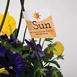 Sunlight Requirement Adhesive Labels 4 In X 2 In 13 Sunlight Requirement Adhesive Labels 4 In X 2 In -Garden Outdoor vp ul20xx 6