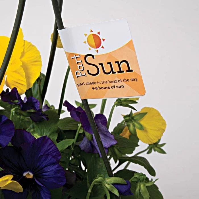 Sunlight Requirement Adhesive Labels 4 In X 2 In 7 Sunlight Requirement Adhesive Labels 4 In X 2 In - Image 7