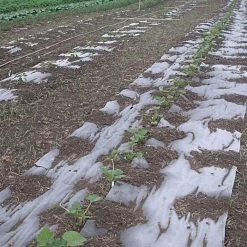 Biodegradable Paper Mulch, 4 Feet By 100 Feet -Garden Outdoor wg48100f 8